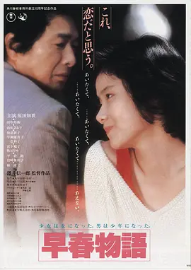 雾港谜案高清电影手机免费在线观看